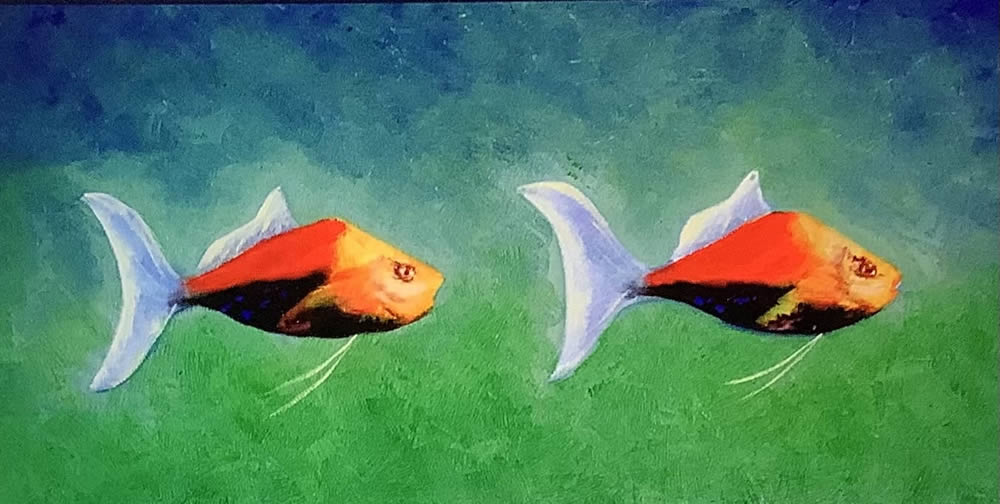 Peces